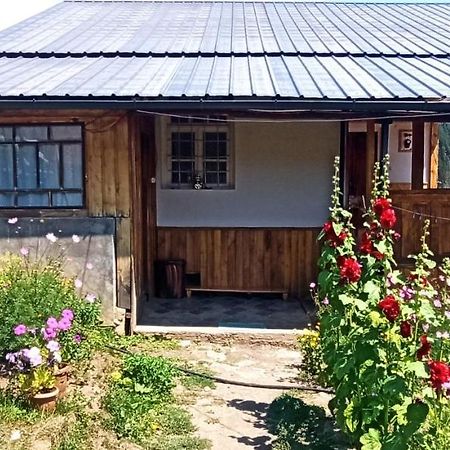 Guesthouse Sagrila Omalo Exteriér fotografie