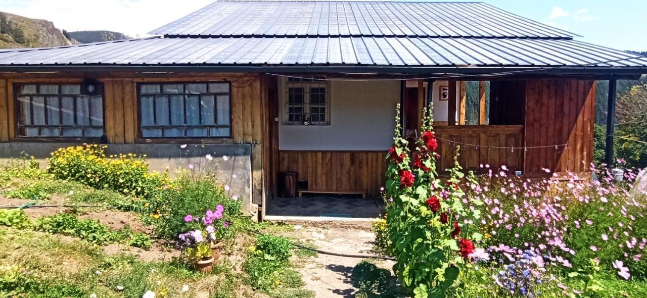 Guesthouse Sagrila Omalo Exteriér fotografie