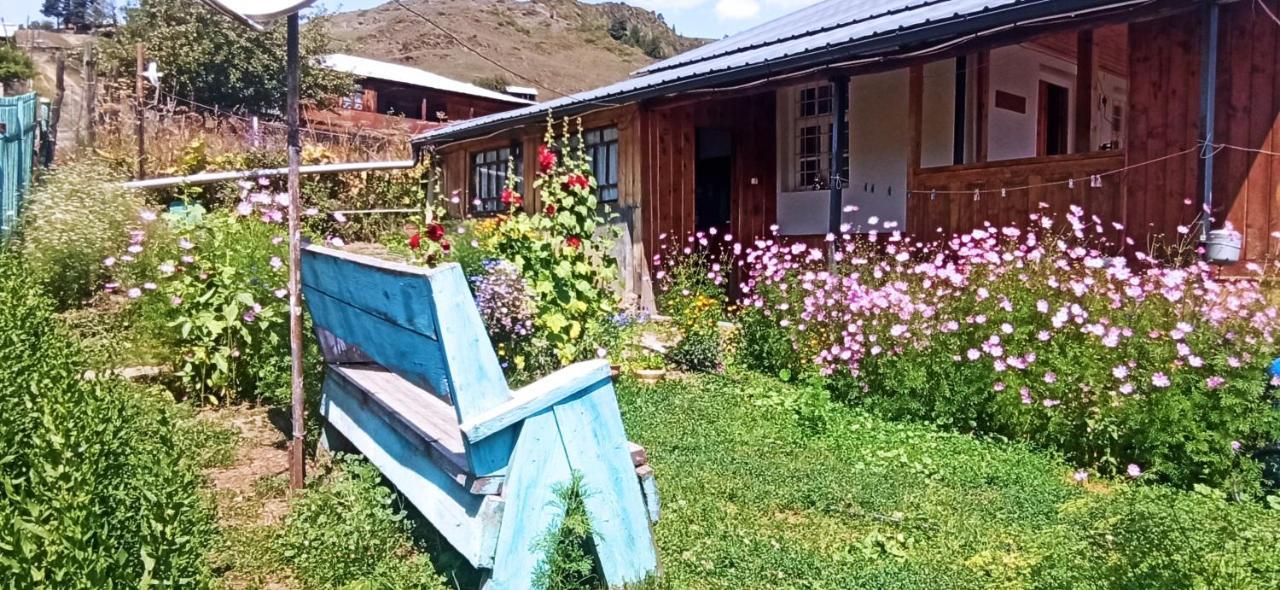 Guesthouse Sagrila Omalo Exteriér fotografie